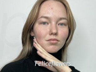 Feliceflowers