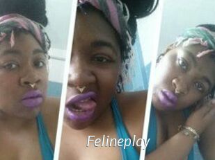 Felineplay