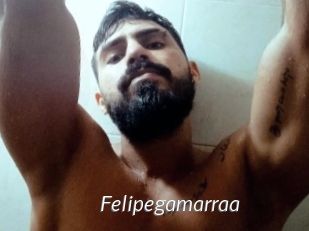 Felipegamarraa
