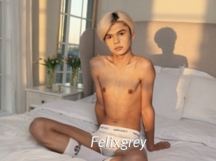 felixgrey Porn Star