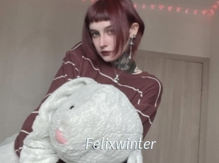 Felixwinter