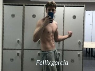 Fellixgarcia