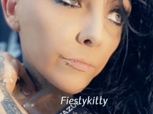 fiestykitty Porn Star