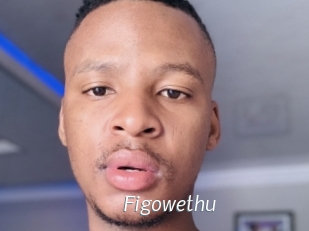 Figowethu