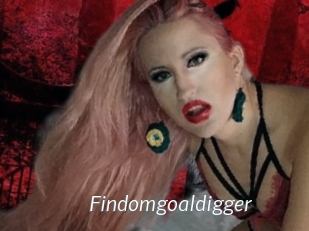 Findomgoaldigger