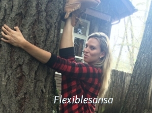 Flexiblesansa