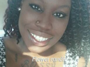 Flower_randle