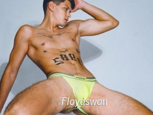 Floydswan