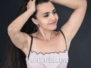 GATAFELLINE