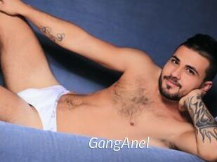 GangAnel