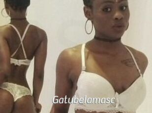 Gatubela_masc