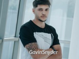 GavinSnyder Porn Star