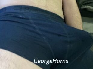 GeorgeHorns