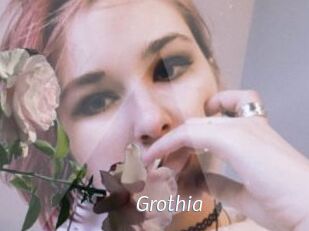 Grothia