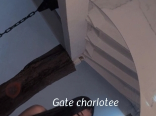 Gate_charlotee