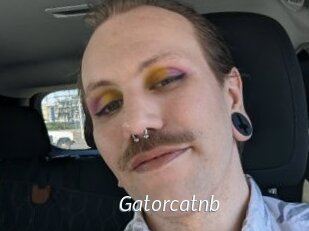 Gatorcatnb