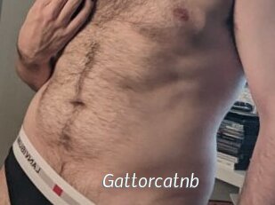 Gattorcatnb