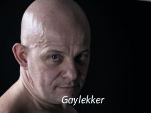 Gaylekker