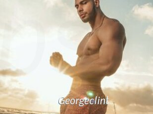 Georgeclint