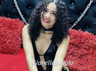 Gianellagavalo