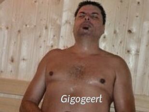 Gigogeert
