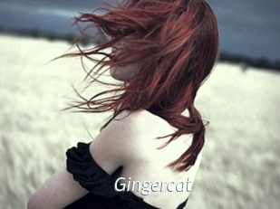 Gingercat