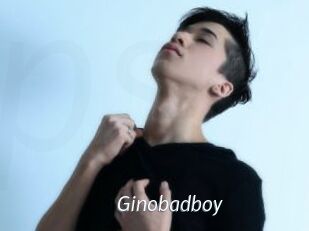 Ginobadboy