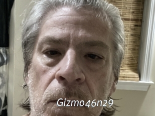Gizmo46n29