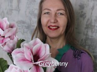 Greybunny