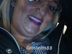 Grosseins88