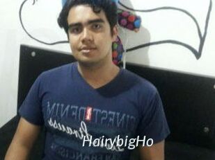 HairybigHo