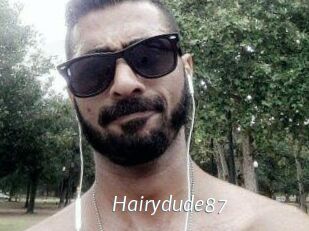 Hairydude87