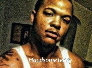 HandsomeTeddy