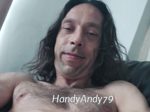 HandyAndy79