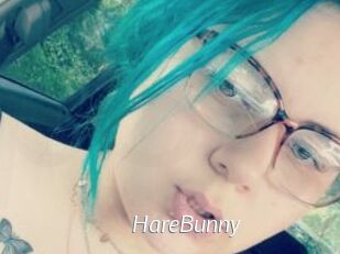 HareBunny
