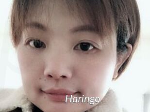 Haringo
