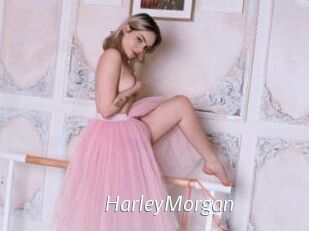 HarleyMorgan