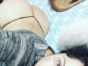 Harley_fox