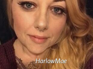 Harlow_Mae
