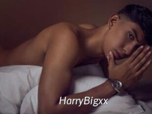 HarryBigxx