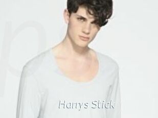 Harrys_Stick