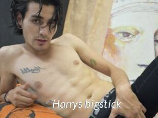 Harrys_bigstick