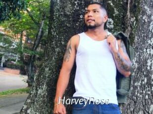 HarveyRose