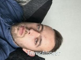 HomeAlone87