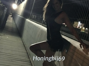 Honingbij69