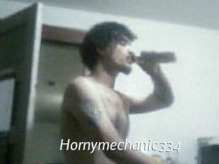 Hornymechanic334
