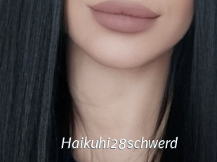 Haikuhi28schwerd