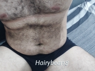 Hairybear18