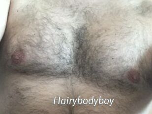 Hairybodyboy