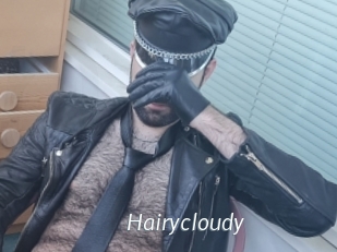 Hairycloudy
